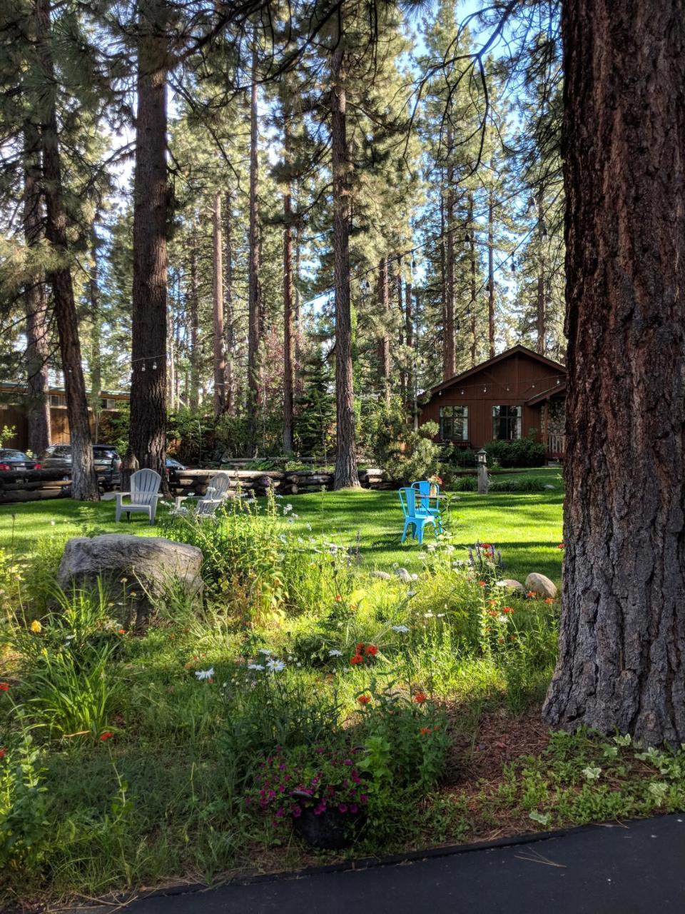 Hotel Black Bear